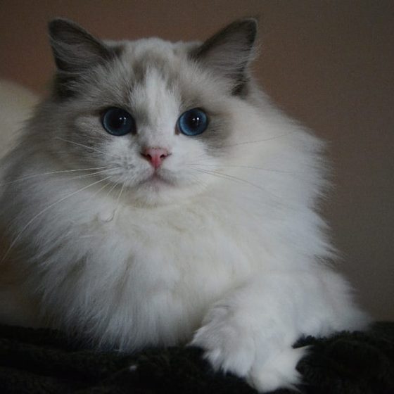 Perfect change Naomy